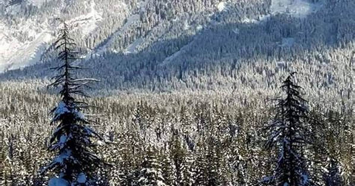 Mini-Mountain
