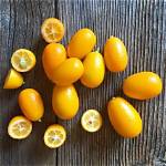 Mini Oranges