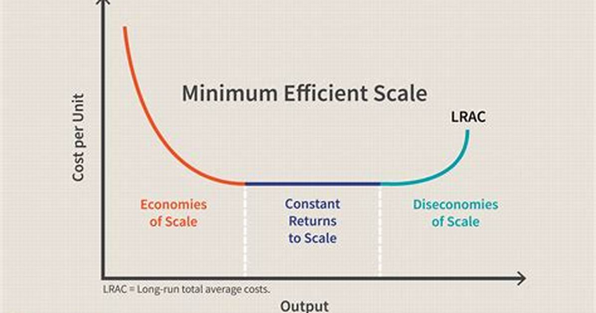 Minimum Efficient Scale