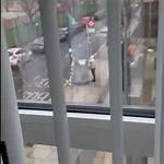 Minor Altercation
