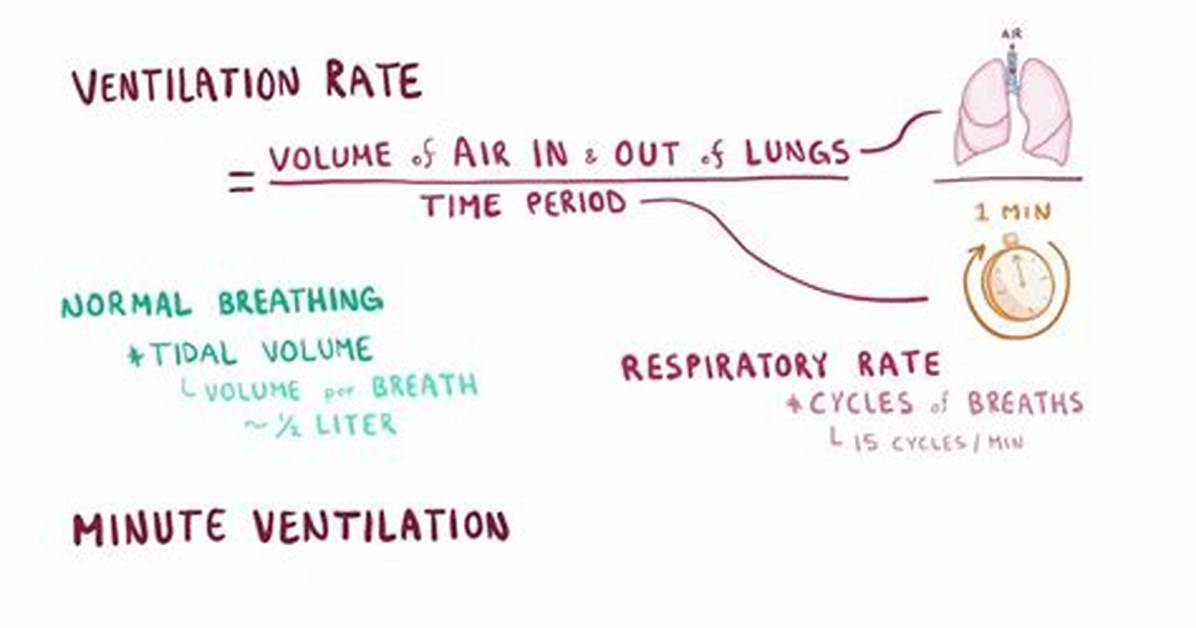 Minute Ventilation Formula