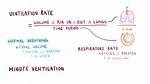 Minute Ventilation Formula