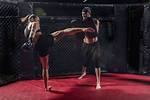 Mixed Martial ___