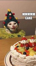 Mmmmm. .. Cake.