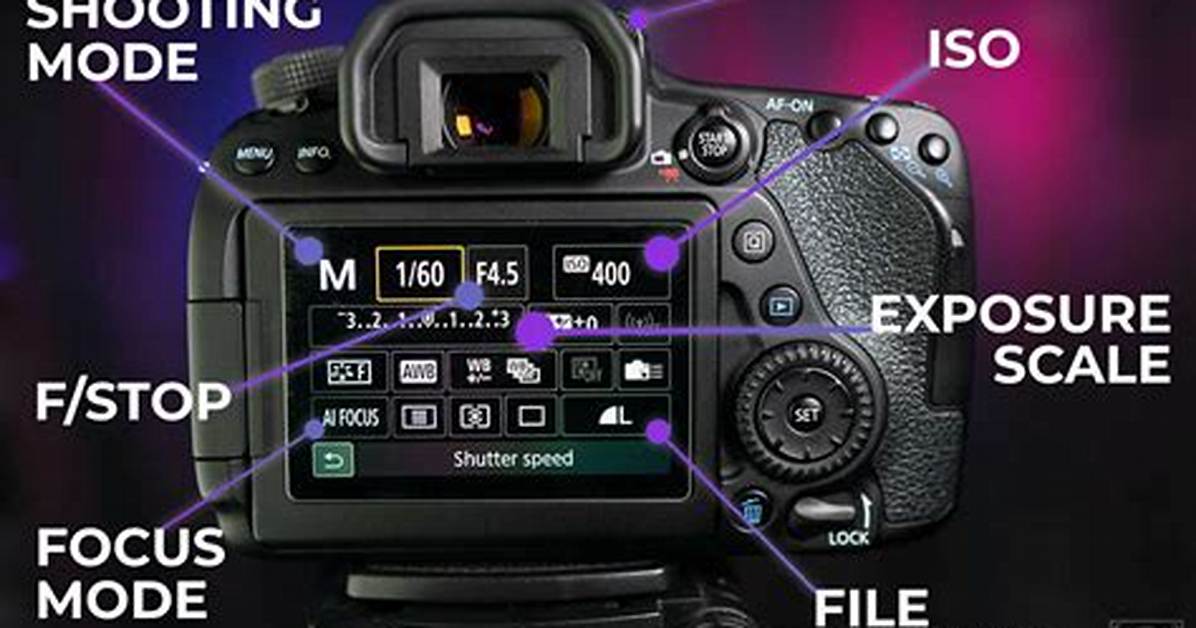 ___-Mo (Camera Setting)