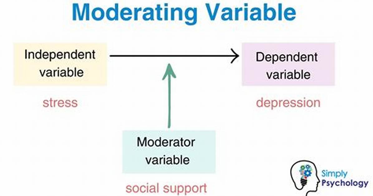 Moderating Variable