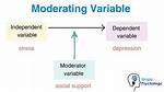 Moderating Variable