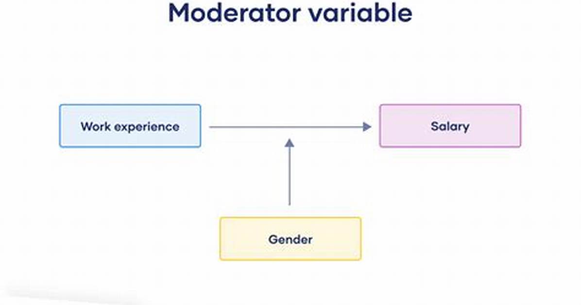 Moderator Variable