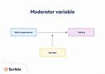 Moderator Variable