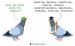 Modesty Synonym