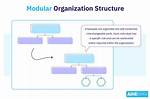 Modular Organization