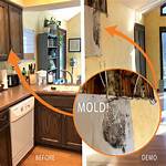Mold in Kitchen