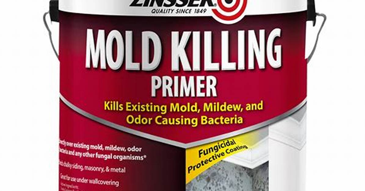 Mold Paint