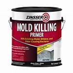 Mold Paint