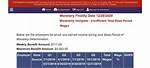 Monetarily Ineligible