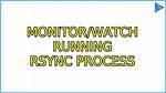 Monitor/Watch Running Rsync Process