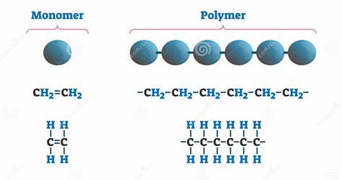 Monomer Polymer