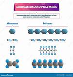 Monomer Polymer