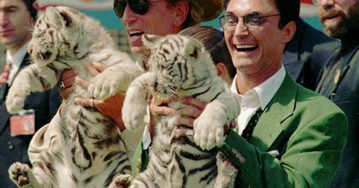 Montecore Tiger
