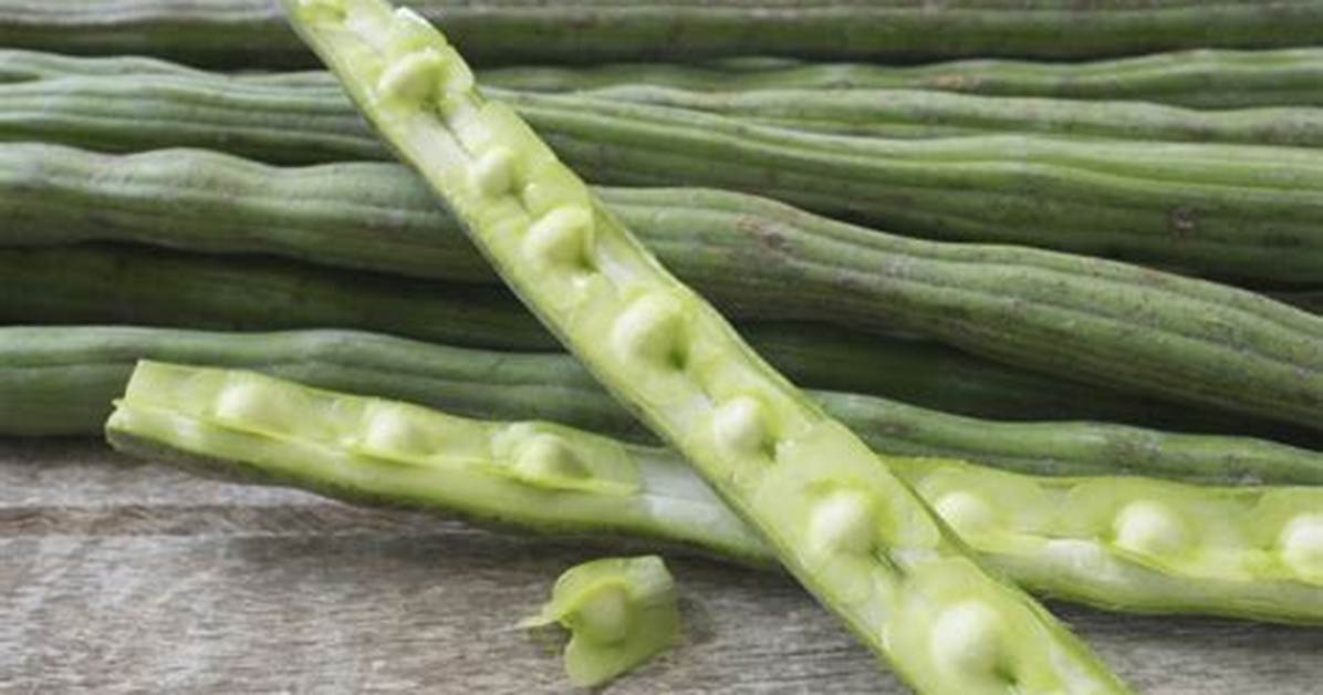Moringa Fruit