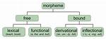 Morphemes Examples