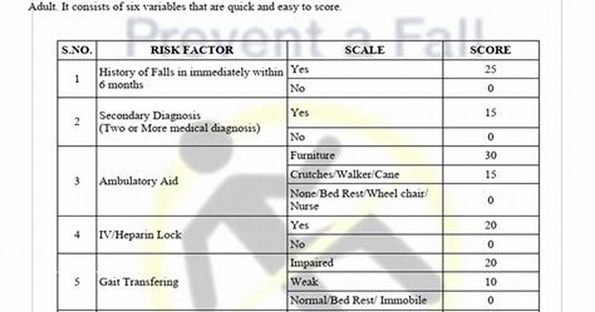 Morse Fall Risk