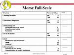 Morse Scale