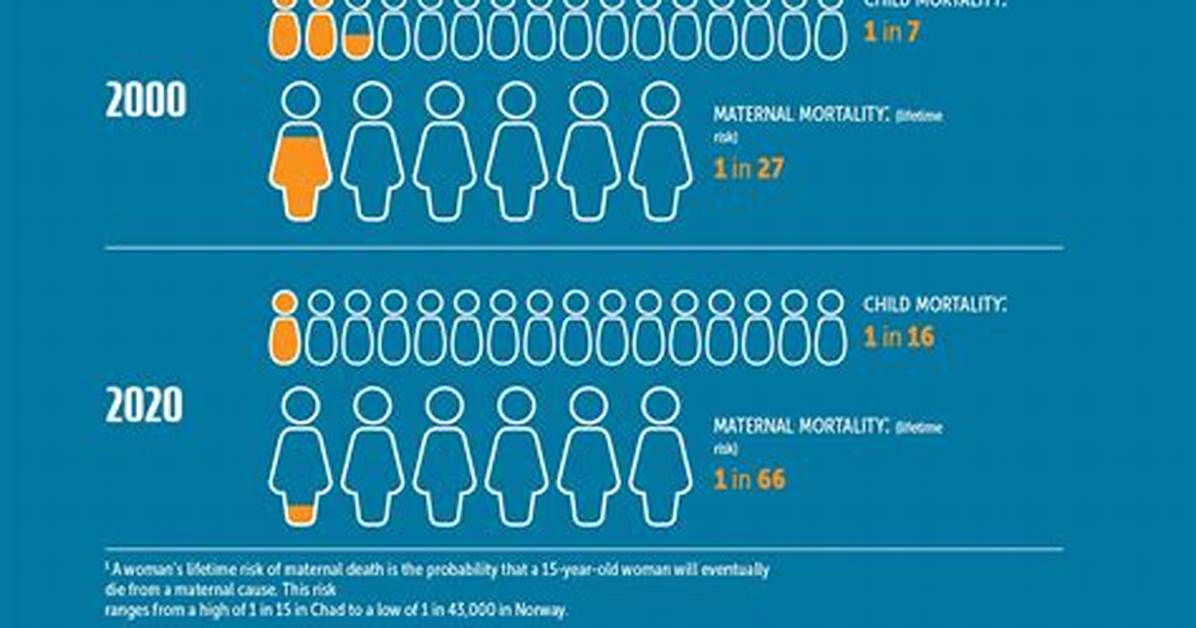 Mortality Problem
