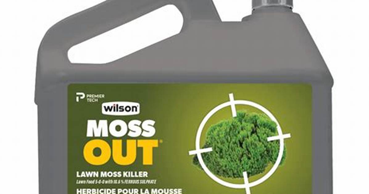 Moss Killer Spray