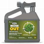 Moss Killer Spray