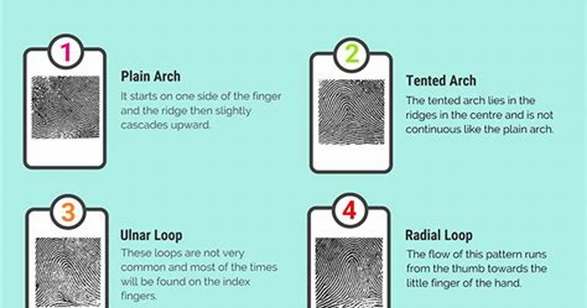 Most Common Fingerprint Pattern