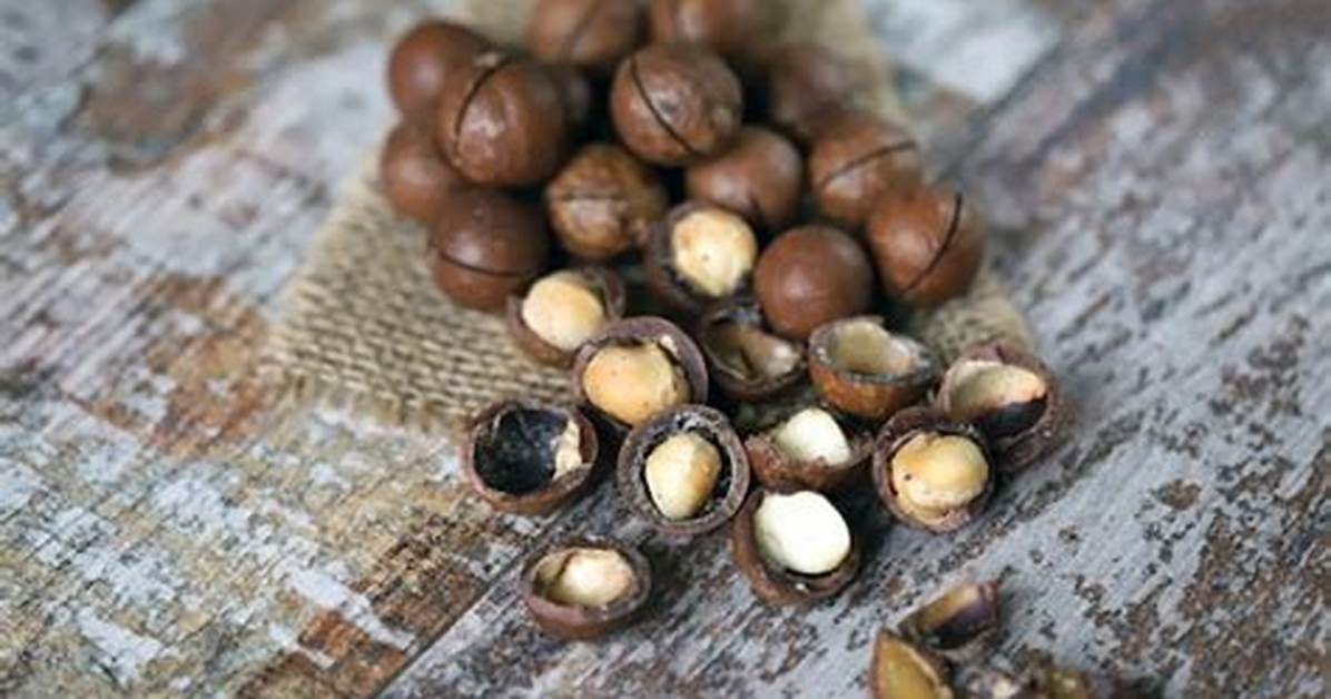 Most Expensive Nut
