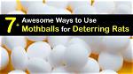 Mothballs for Rats