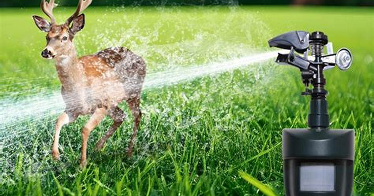 Motion Detector Sprinkler