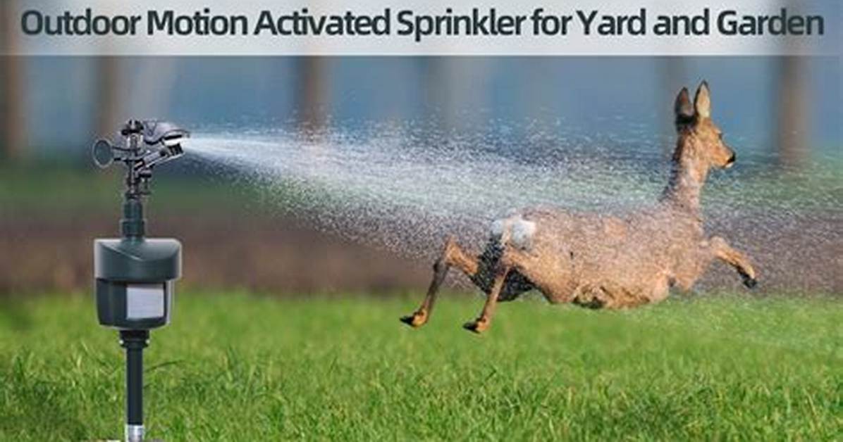 Motion Sprinkler