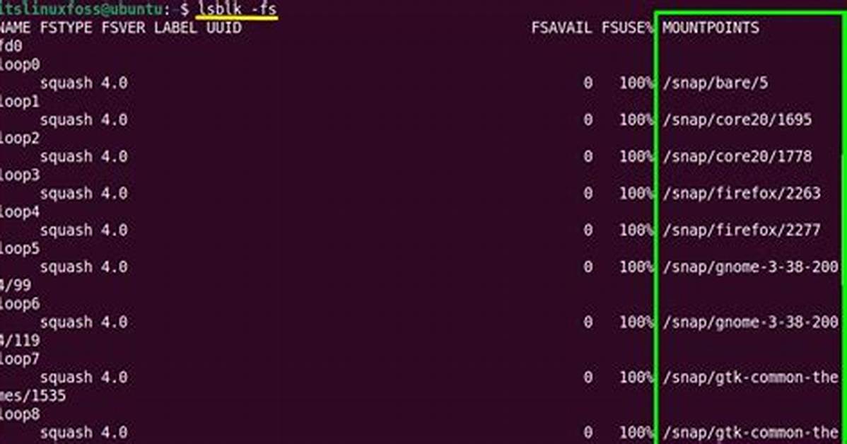 Mount Specific Fstab Entry