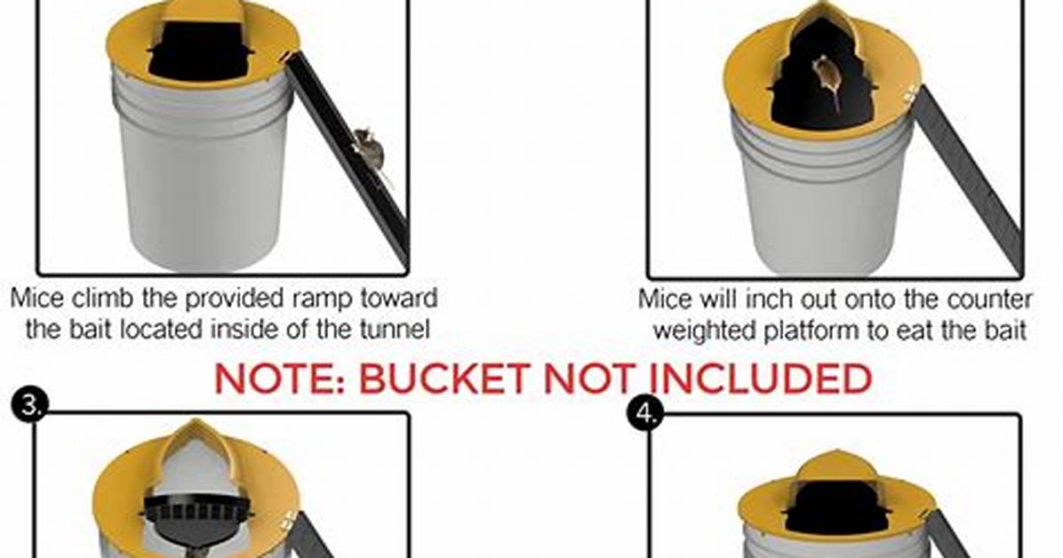 Mouse Bucket Trap