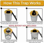 Mouse Bucket Trap
