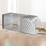 Mouse-Catching Item