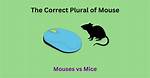 Mouse Plural
