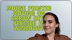 Mouse Pointer Moving on Arrow Keys Pressed in Windows?