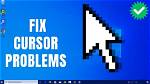 Mouse Pointer Stuck but Computer Completely Functional