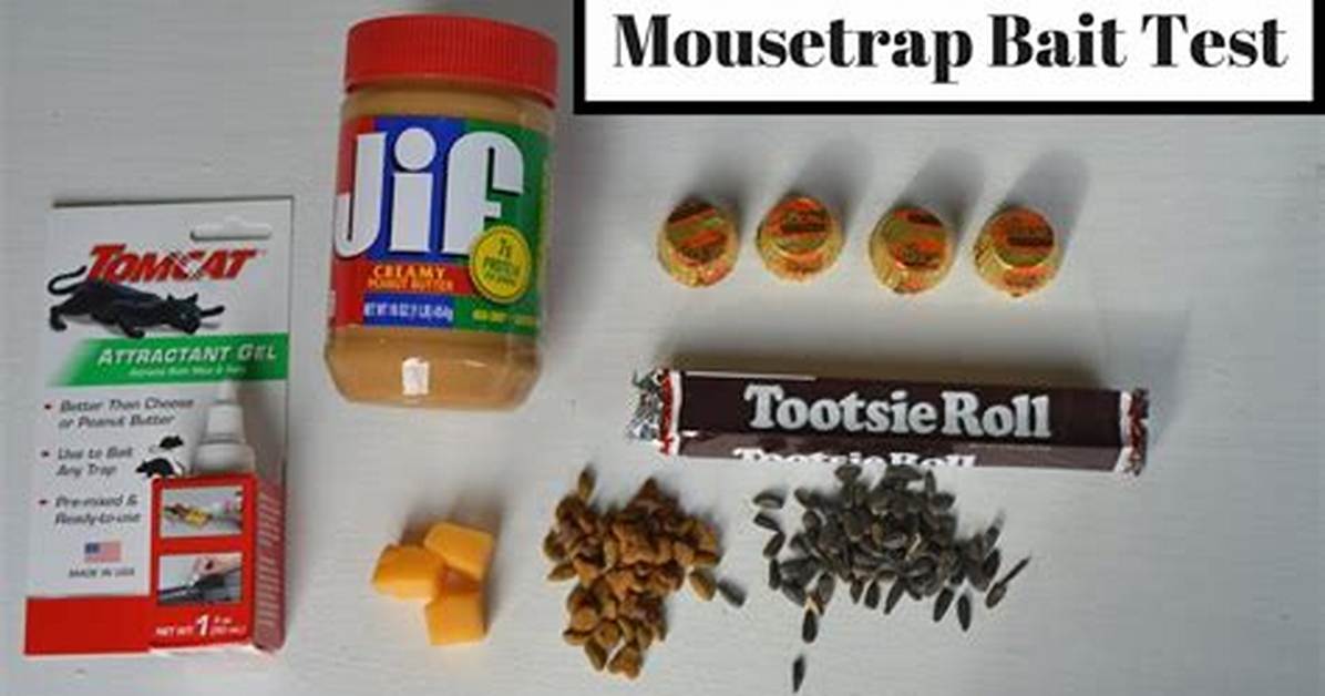 Mouse Trap Bait