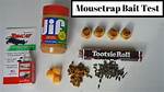 Mouse Trap Bait