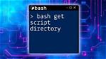 Moving a Bash Script to /Bin Directory