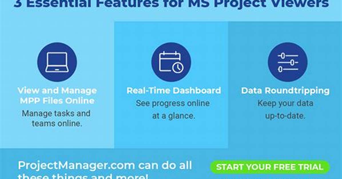 Ms Project Viewers