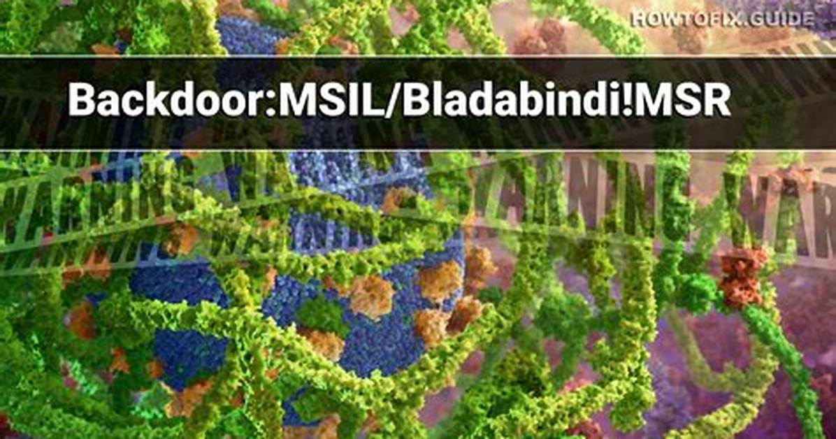 Msil/Bladabindi. Eo