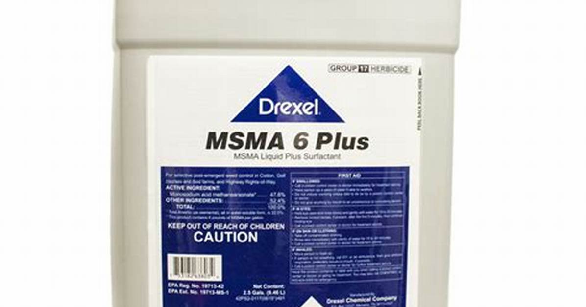 Msma 6 Plus