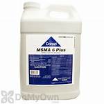 Msma 6 Plus