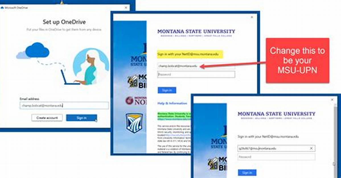 Msu Email